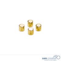 Glassboard magnet 10mm cylinder gold (set 4 pcs)